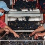 Workers’ comp claim process